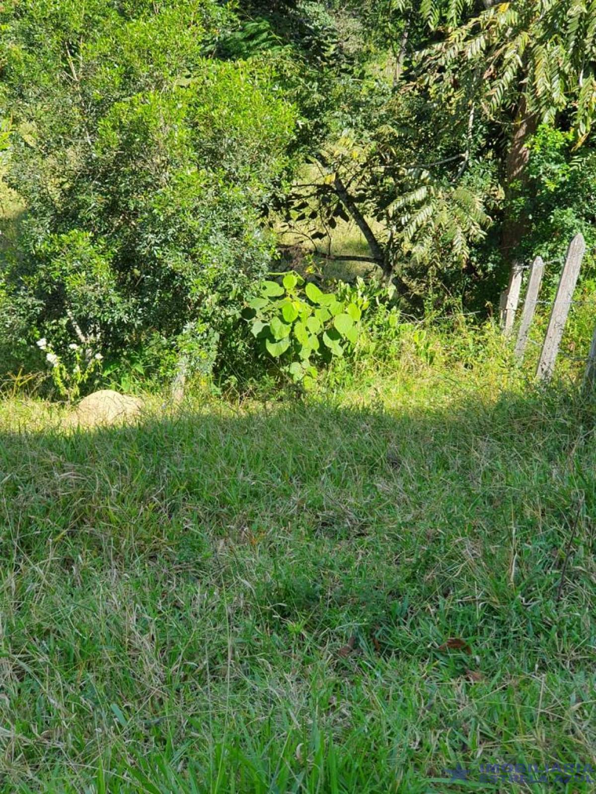 Sítio no bairro Furnas