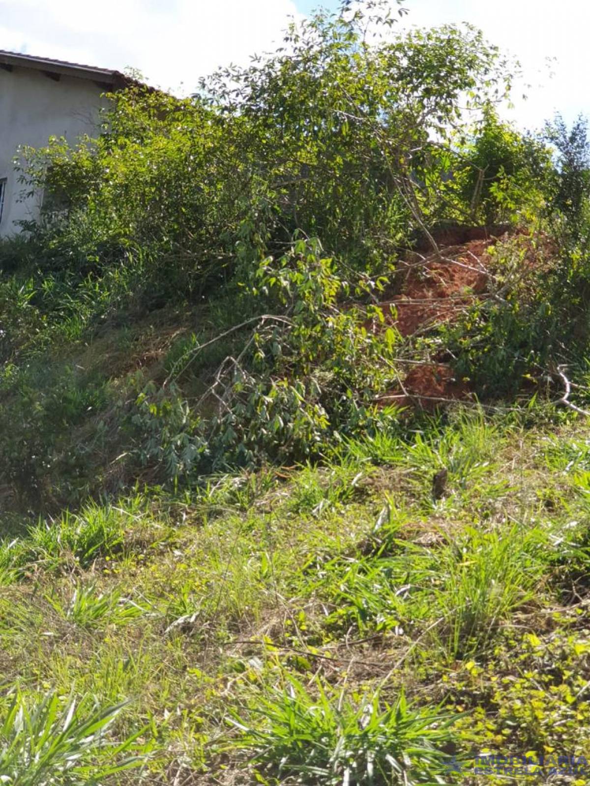 Sítio no bairro Furnas