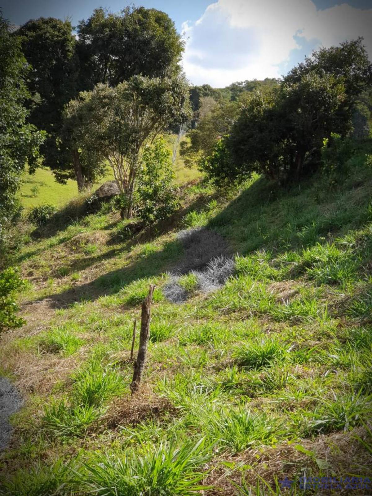 Sítio no bairro Furnas