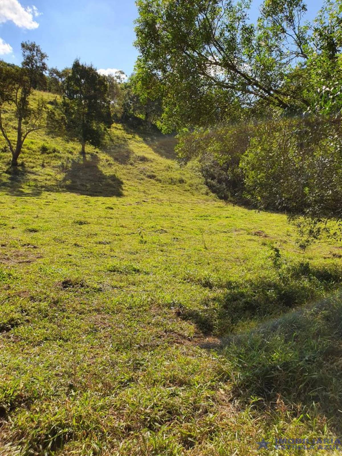 Sítio no bairro Furnas