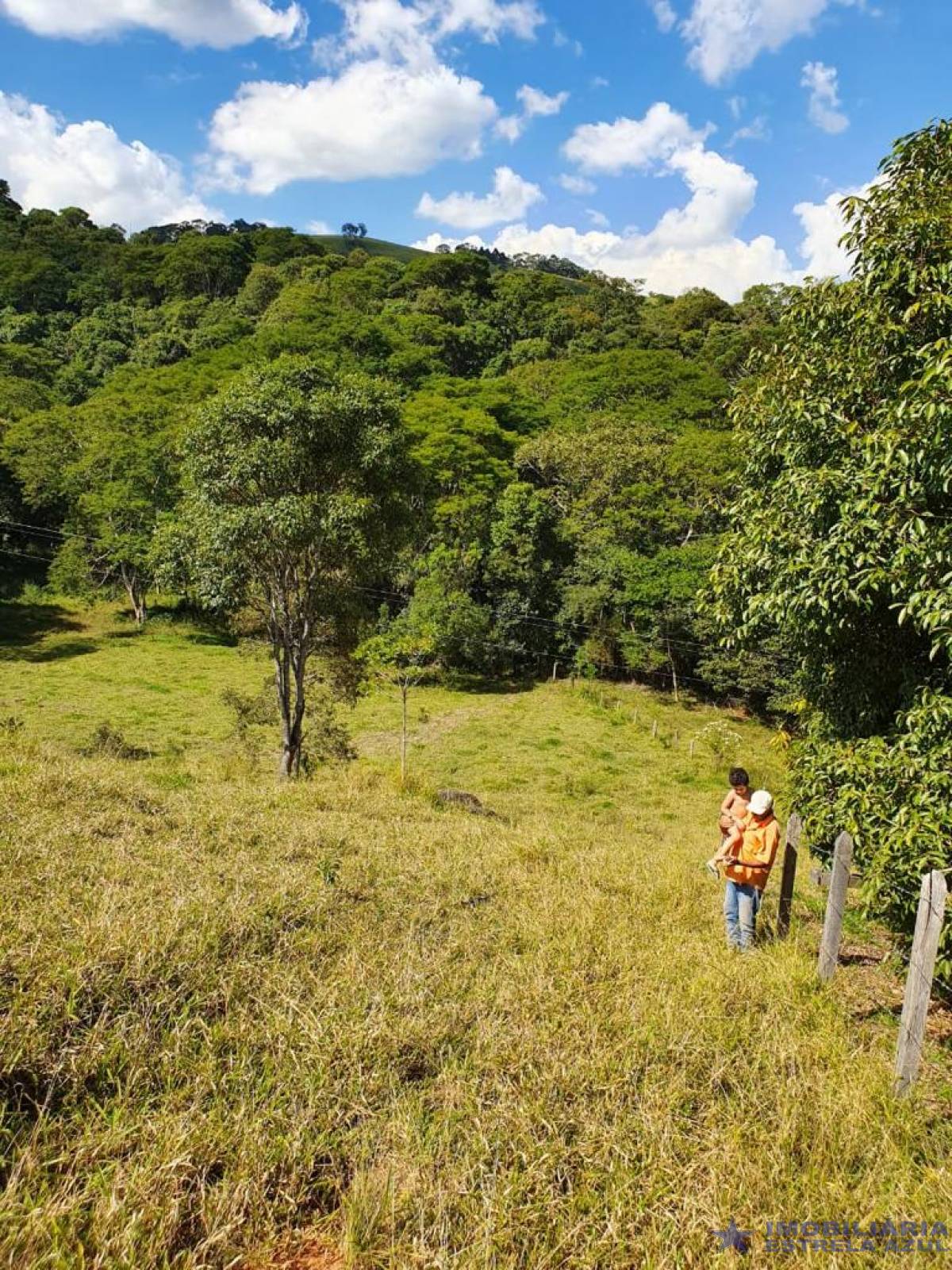 Sítio no bairro Furnas