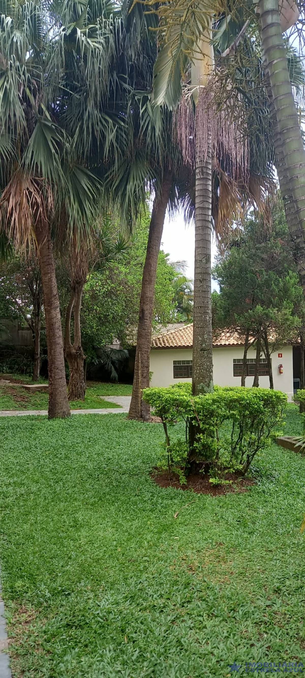 Apartamento no bairro Veleiros 