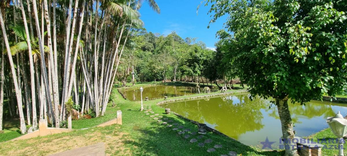 Sítio no bairro Martin Afonso 